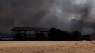 جامعة مدينة السادات