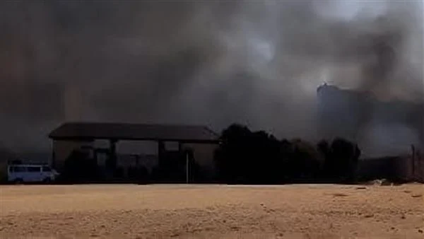 جامعة مدينة السادات